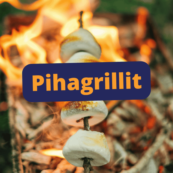 Pihagrilit, nuotiogrillit